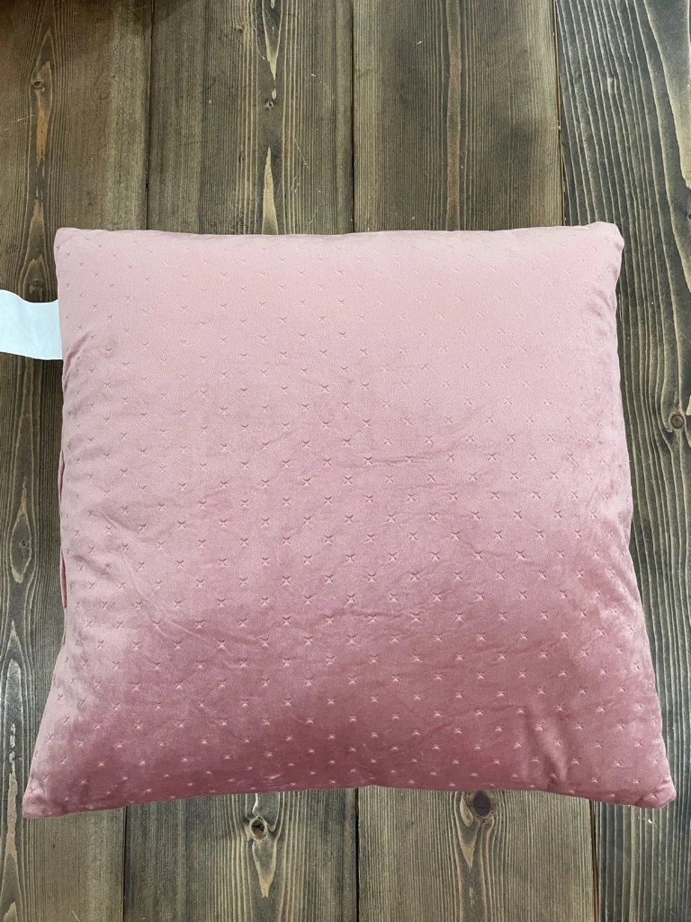 Blush Decorative Throw Pillow